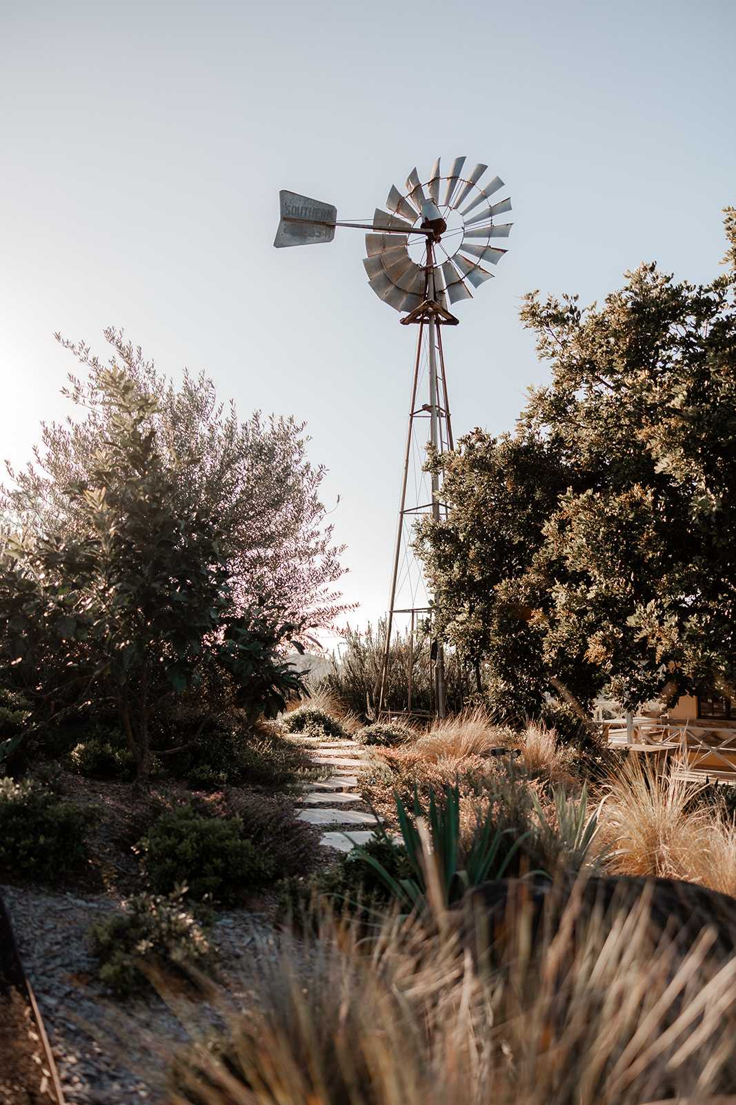 Hillside Carool x Mish + Kirk